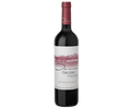 Finca Decero Remolinos Cabernet Sauv 2018 750ml (92JS)
