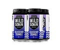 Destihl Wild Sour Series Blueberry Crumble 12oz 4-Pack Can