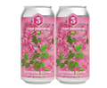 Three Sons Southern Bloom 16oz 4-Pack Can