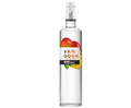 Vincent Van Gogh Mango 1L