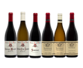 Louis Jadot Les Climats de Santenay 2018 750ml 6-Pack Vertical