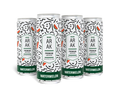 Miami Arak Watermelon Hard Seltzer 12oz 4-Pack Can